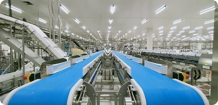 Website - Manufacturing - Manufacturing11 Illustration